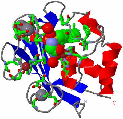 Image Asym./Biol. Unit - sites