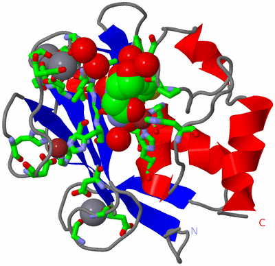 Image Asym./Biol. Unit - sites