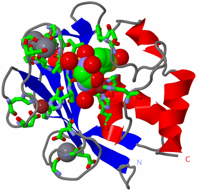 Image Asym./Biol. Unit - sites