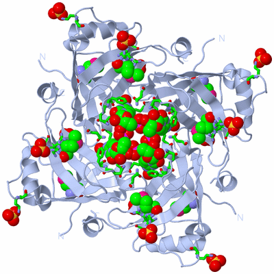 Image Biol. Unit 1 - sites