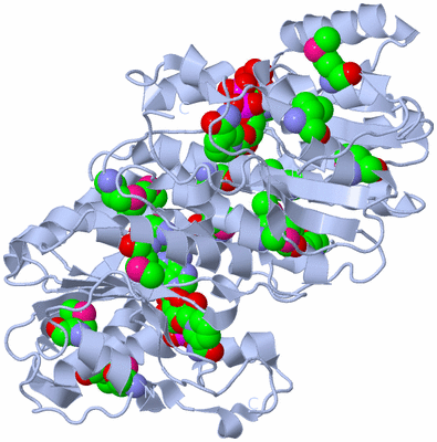 Image Biological Unit 1