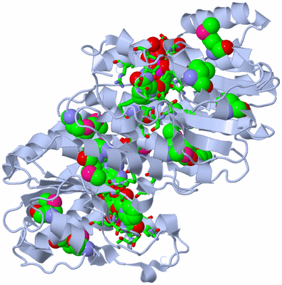 Image Biol. Unit 1 - sites