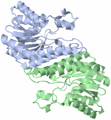 Image Asym./Biol. Unit