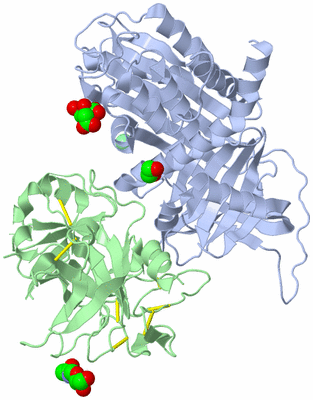 Image Asym./Biol. Unit