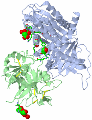 Image Asym./Biol. Unit - sites