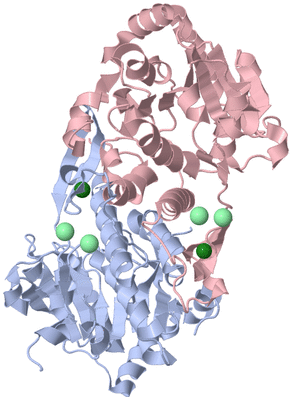 Image Asym./Biol. Unit