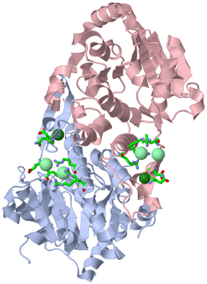 Image Asym./Biol. Unit - sites