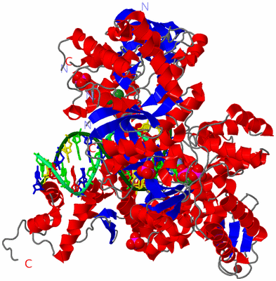 Image Asym./Biol. Unit