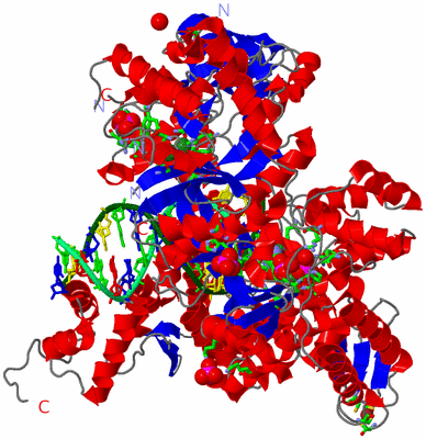 Image Asym./Biol. Unit - sites