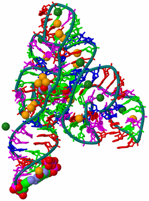 Image Asym./Biol. Unit