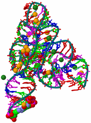 Image Asym./Biol. Unit - sites