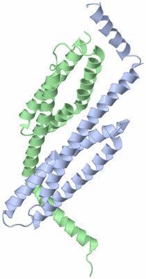 Image Asymmetric Unit