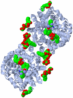 Image Biological Unit 1