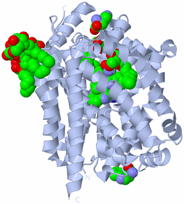 Image Biological Unit 2