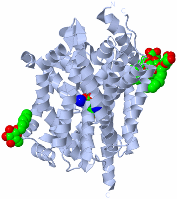 Image Biological Unit 2