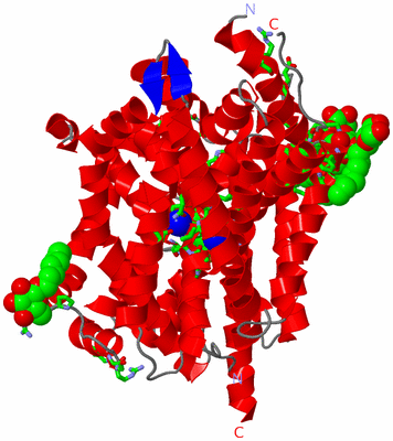 Image Asym. Unit - sites