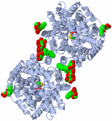 Image Biological Unit 1