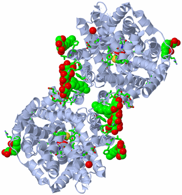 Image Biol. Unit 1 - sites