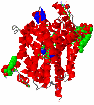 Image Asym. Unit - sites