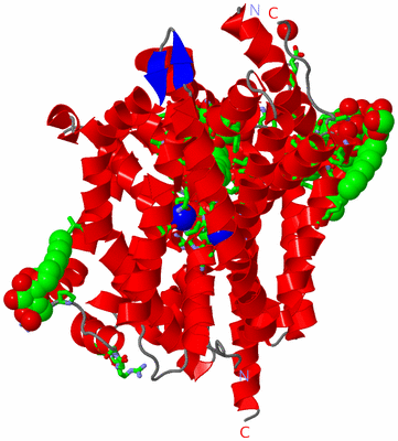 Image Asym. Unit - sites