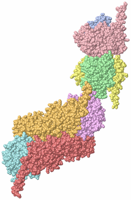 Image Asym./Biol. Unit