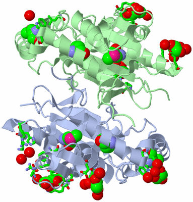 Image Asym./Biol. Unit - sites