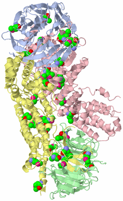 Image Biological Unit 1