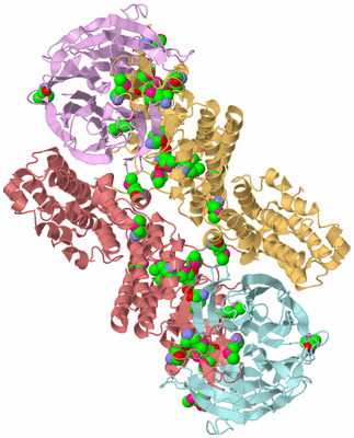 Image Biological Unit 2