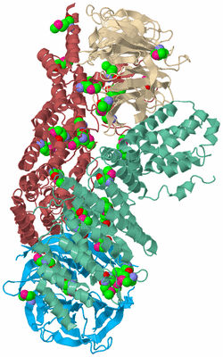 Image Biological Unit 3