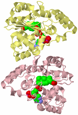 Image Biological Unit 2