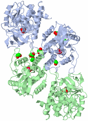 Image Asym./Biol. Unit