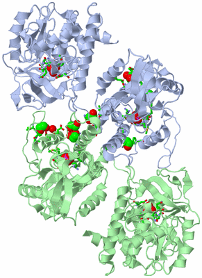 Image Asym./Biol. Unit - sites