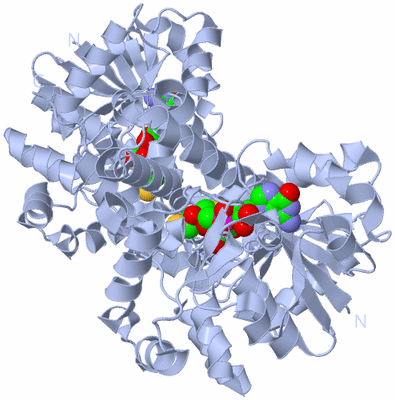 Image Biological Unit 1