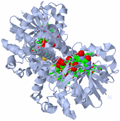 Image Biol. Unit 1 - sites