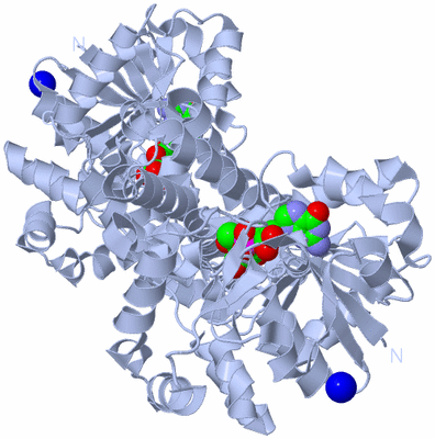 Image Biological Unit 1