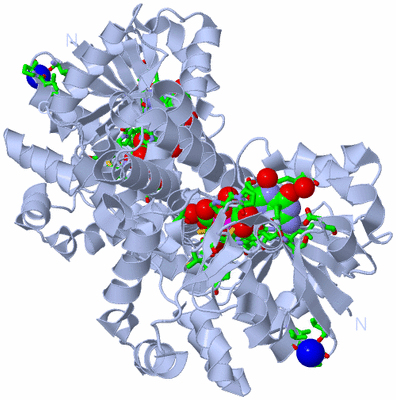 Image Biol. Unit 1 - sites