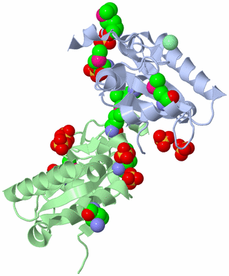 Image Asym./Biol. Unit