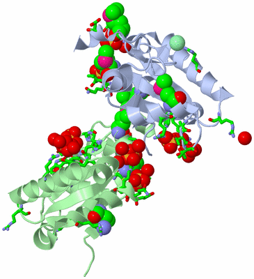 Image Asym./Biol. Unit - sites