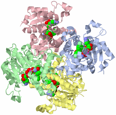 Image Asym./Biol. Unit