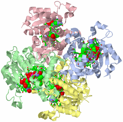 Image Asym./Biol. Unit - sites