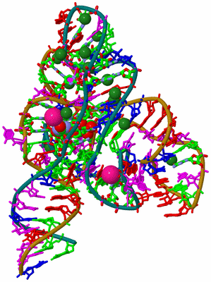 Image Asym./Biol. Unit - sites