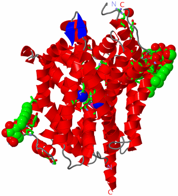 Image Asym. Unit - sites