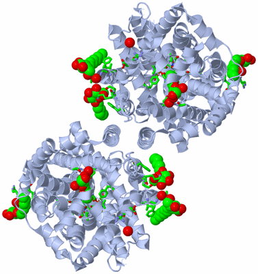 Image Biol. Unit 1 - sites