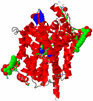 Image Asym. Unit - sites