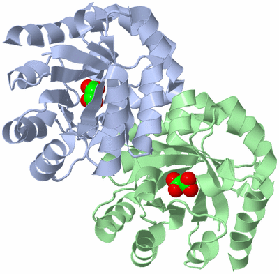 Image Asym./Biol. Unit