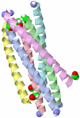 Image Asym./Biol. Unit