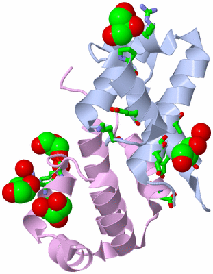 Image Asym./Biol. Unit - sites