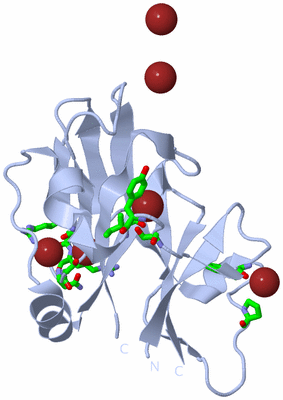 Image Biol. Unit 1 - sites