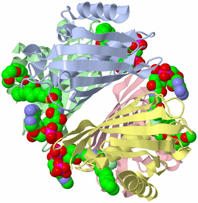 Image Biological Unit 1