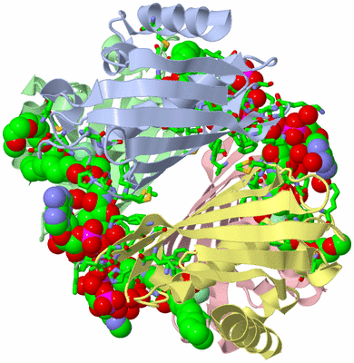 Image Biol. Unit 1 - sites